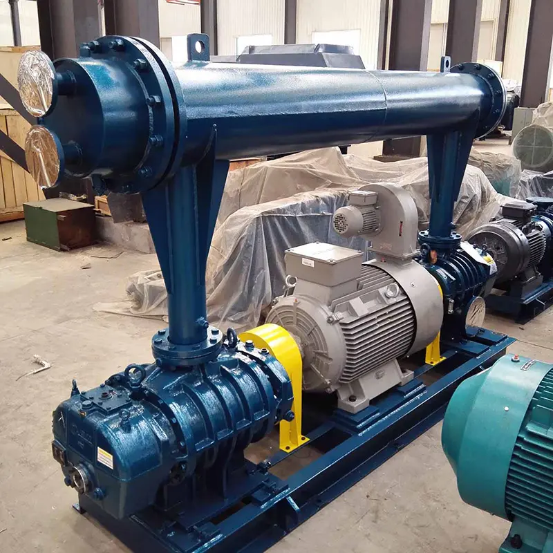 TRR Two-Stage Roots Blower – High Pressure Roots Blower with Maximum Efficiency (3).jpg