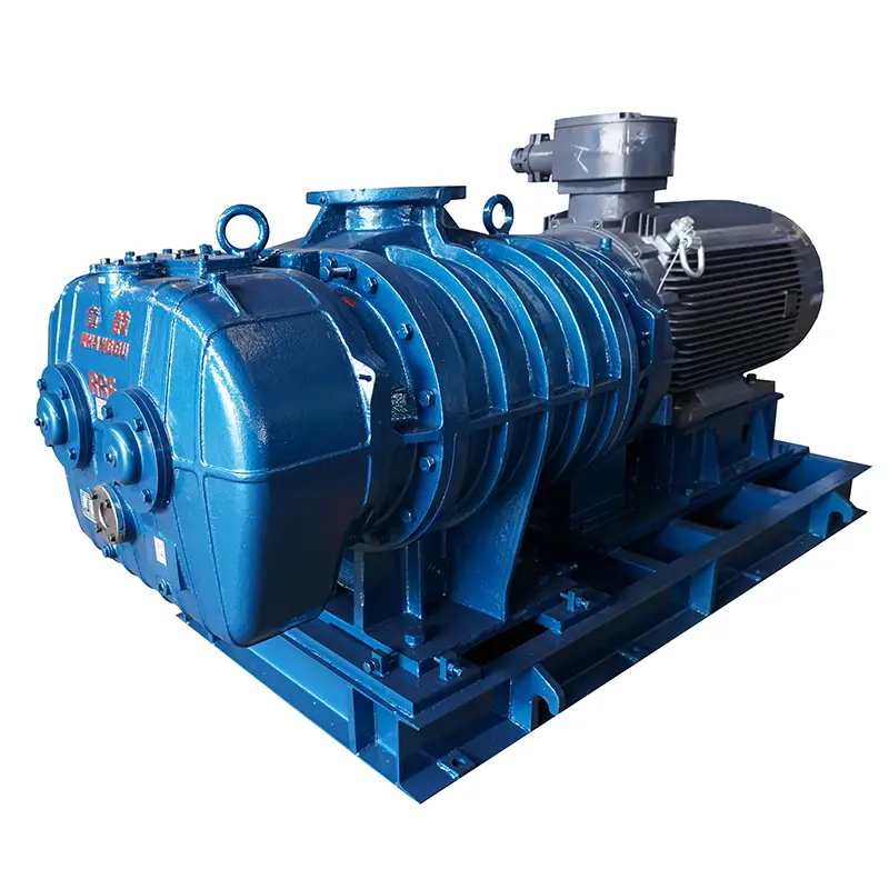 RR Series Roots Blower & Vacuum Pump – Versatile, Durable, and Precisely Engineered (3).jpg