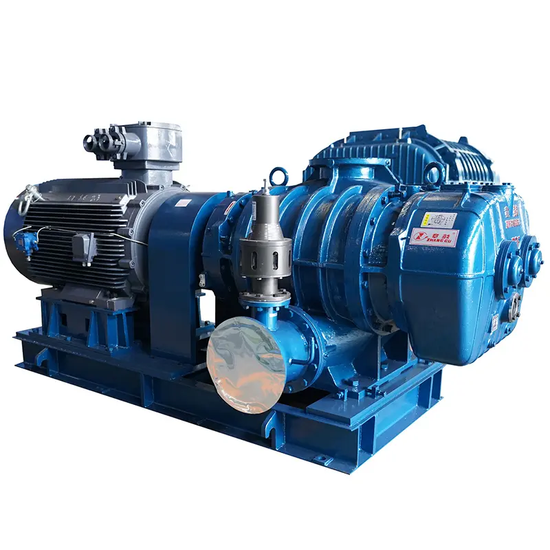 3H Roots Blower – High Efficiency, Low Noise, Reliable Performance (2).jpg