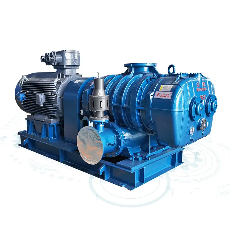 RR-Series-Roots-Blower-&-Vacuum-Pump.jpg