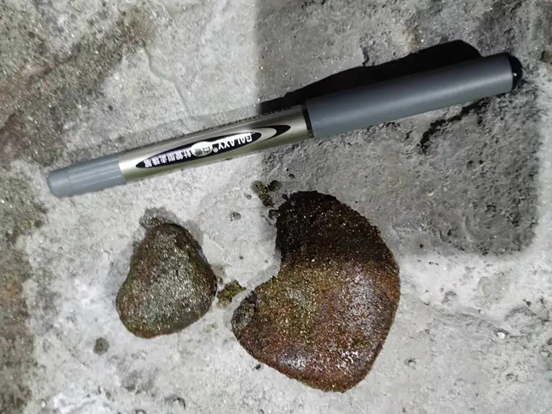 JINDUICHENG-MOLYBDENUM-INDUSTRY-1